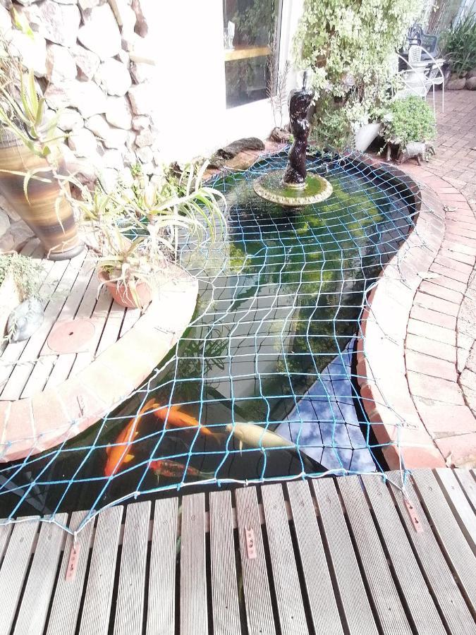 Serendipity Amanzimtoti